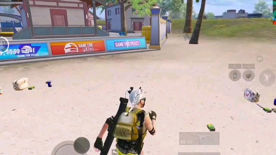 探索和平精英辅助工具背后的技术奥秘